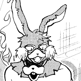 ニセモノウサギ