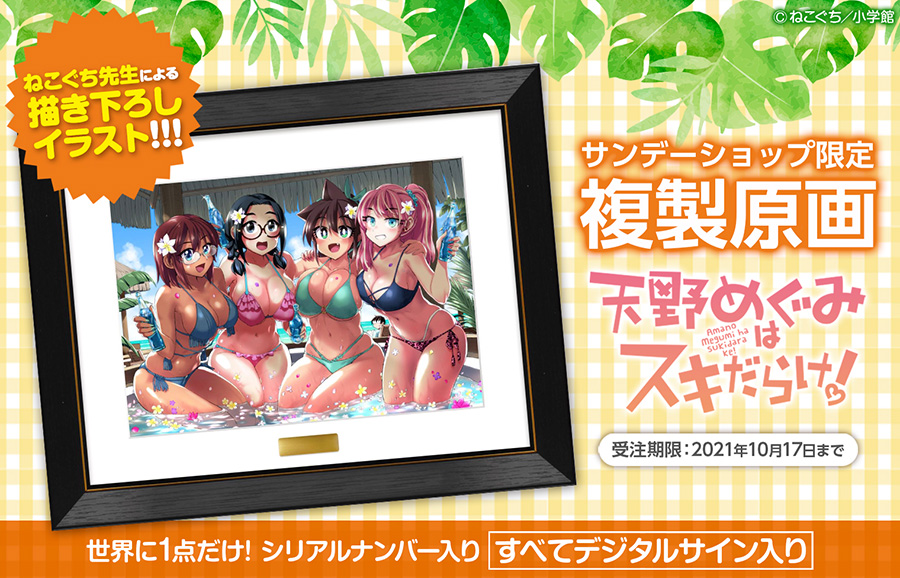 祝!完結!『天野めぐみはスキだらけ!』“描き下ろし”複製原画が登場!