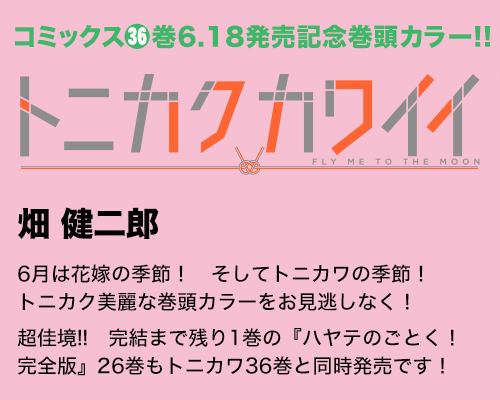 トニカクカワイイ